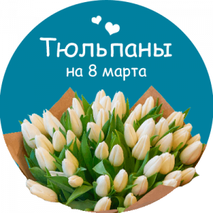 Купить тюльпаны в Новошахтинске